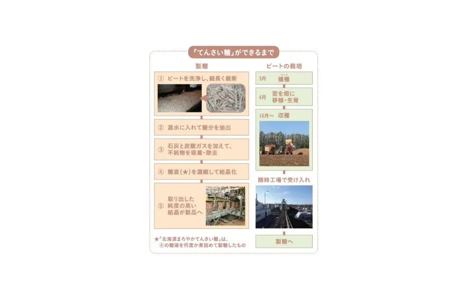 「てんさい糖」ができるまで